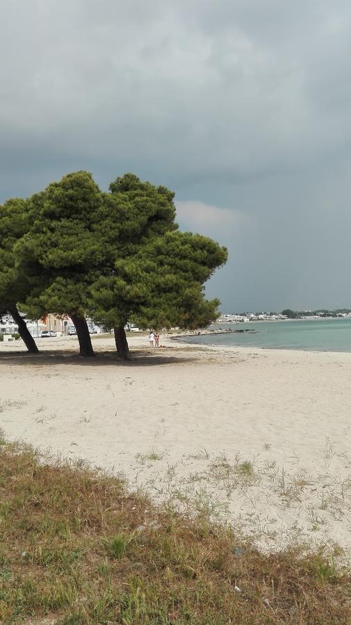 L'Angulus Ridet Hotel Porto Cesareo Luaran gambar